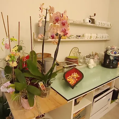 Il Trovatore ベッド・アンド・ブレックファスト