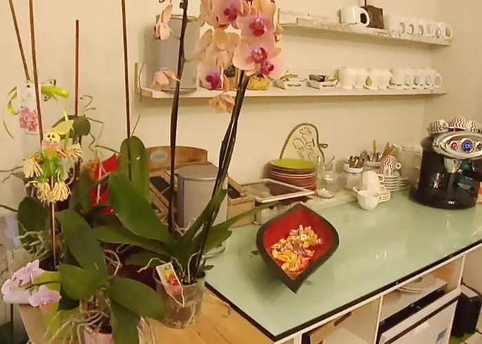 Il Trovatore Отель типа 